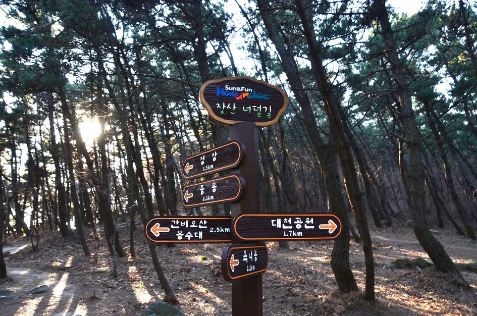 <465차>갈맷길12- 장산 너덜길
