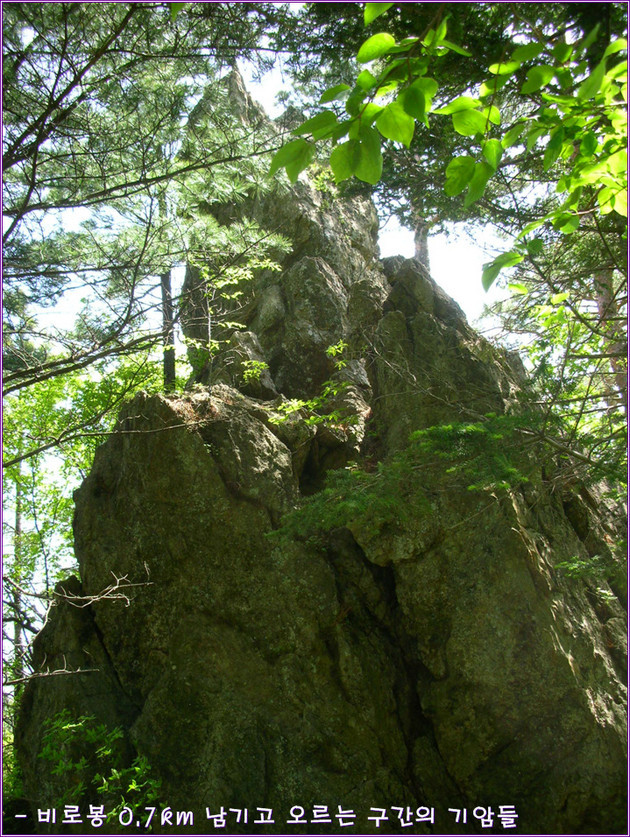 원주  치악산(1288M) 종주산행