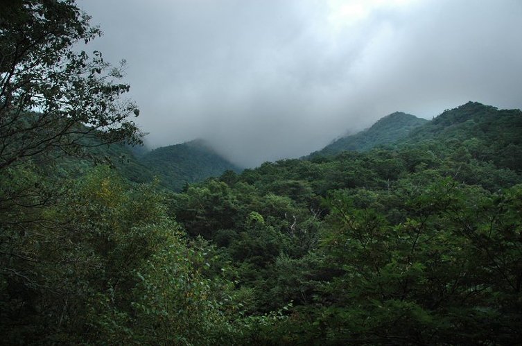2009 천왕봉 산행(4) 제석봉을 지나며,,