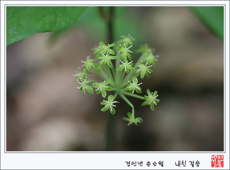 세상살이 이미지
