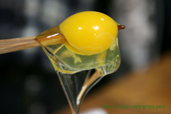 달걀을 깨뜨리는 닭과 질병의 원인이 되는 스트레스 해결은...