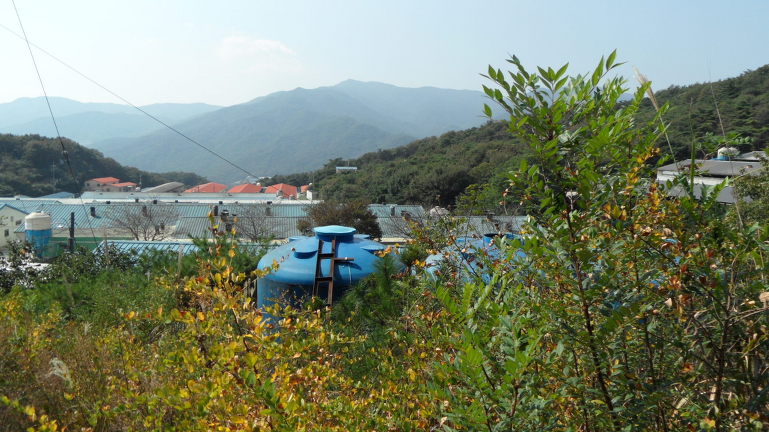정림축산 이미지