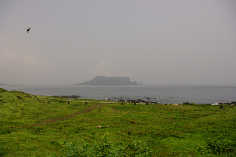 수목원의 산책로