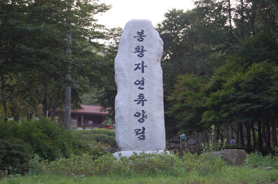 봉황자연휴양림 이미지