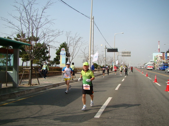 11월의 뒤안길 다대포 마라톤을 끝내고