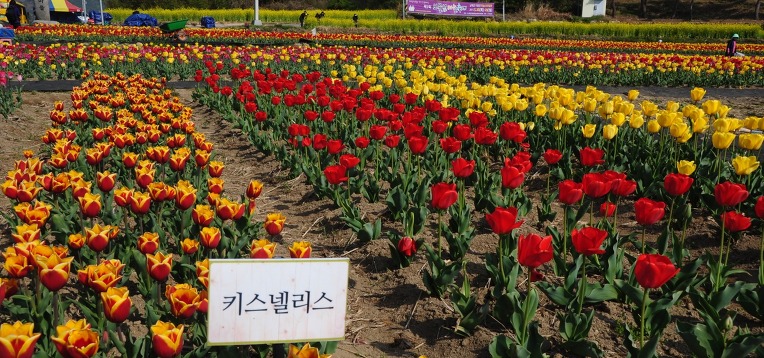 추곡농원 이미지