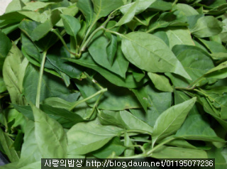 고추잎 무 말랭이 무침