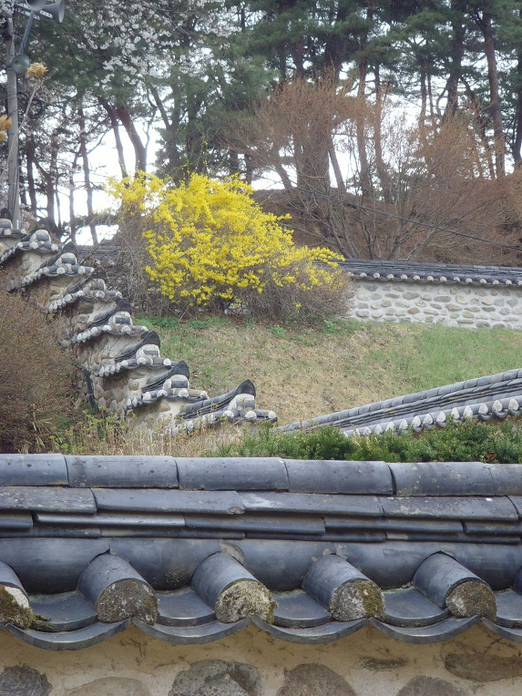 서*원 이미지