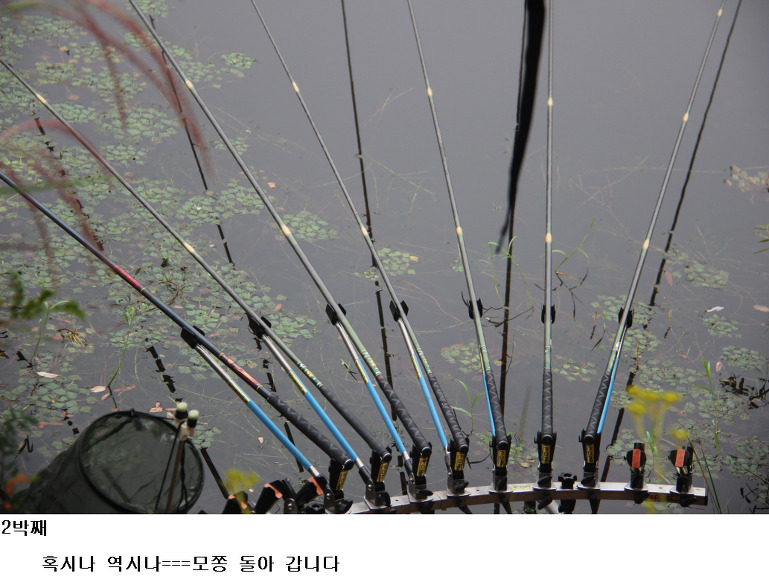 211AC948523EBB021E08DB