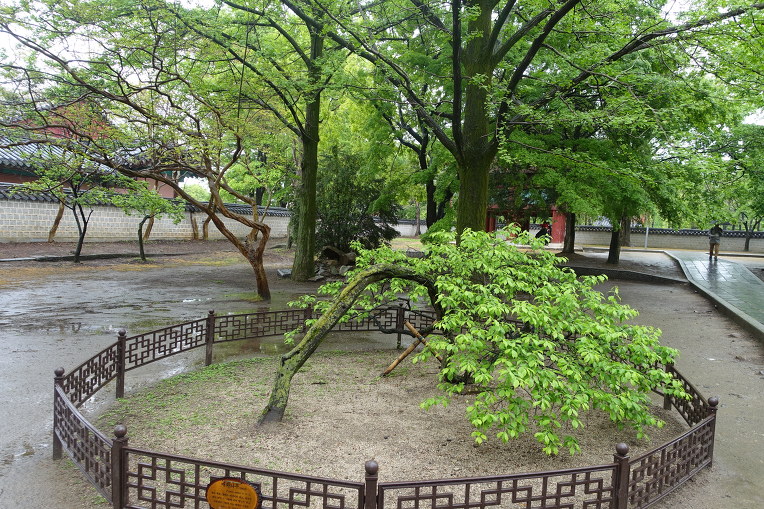 215C5E335721CABD31368E