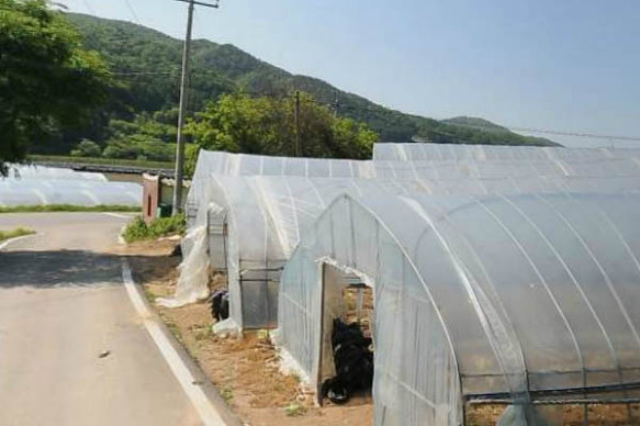 횡선군 안흥면 성산리 토지매매