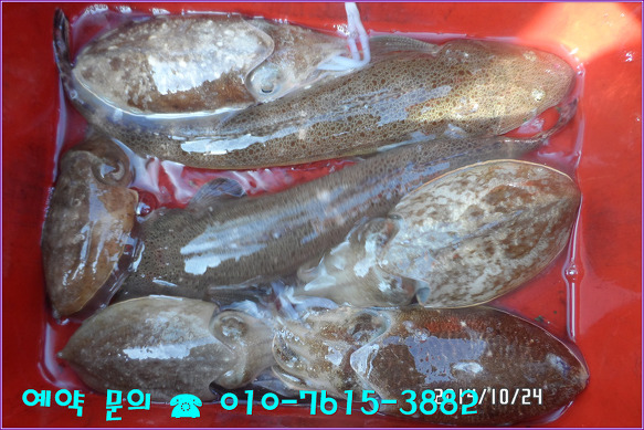 22366536544A3BCF018130