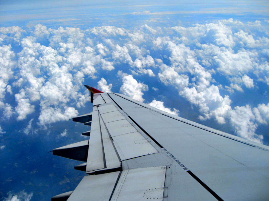 2012-6월 연변 5일째  용정->연길시 주변야생화 탐방->귀국