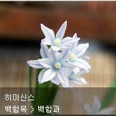 꽃이름 찾기