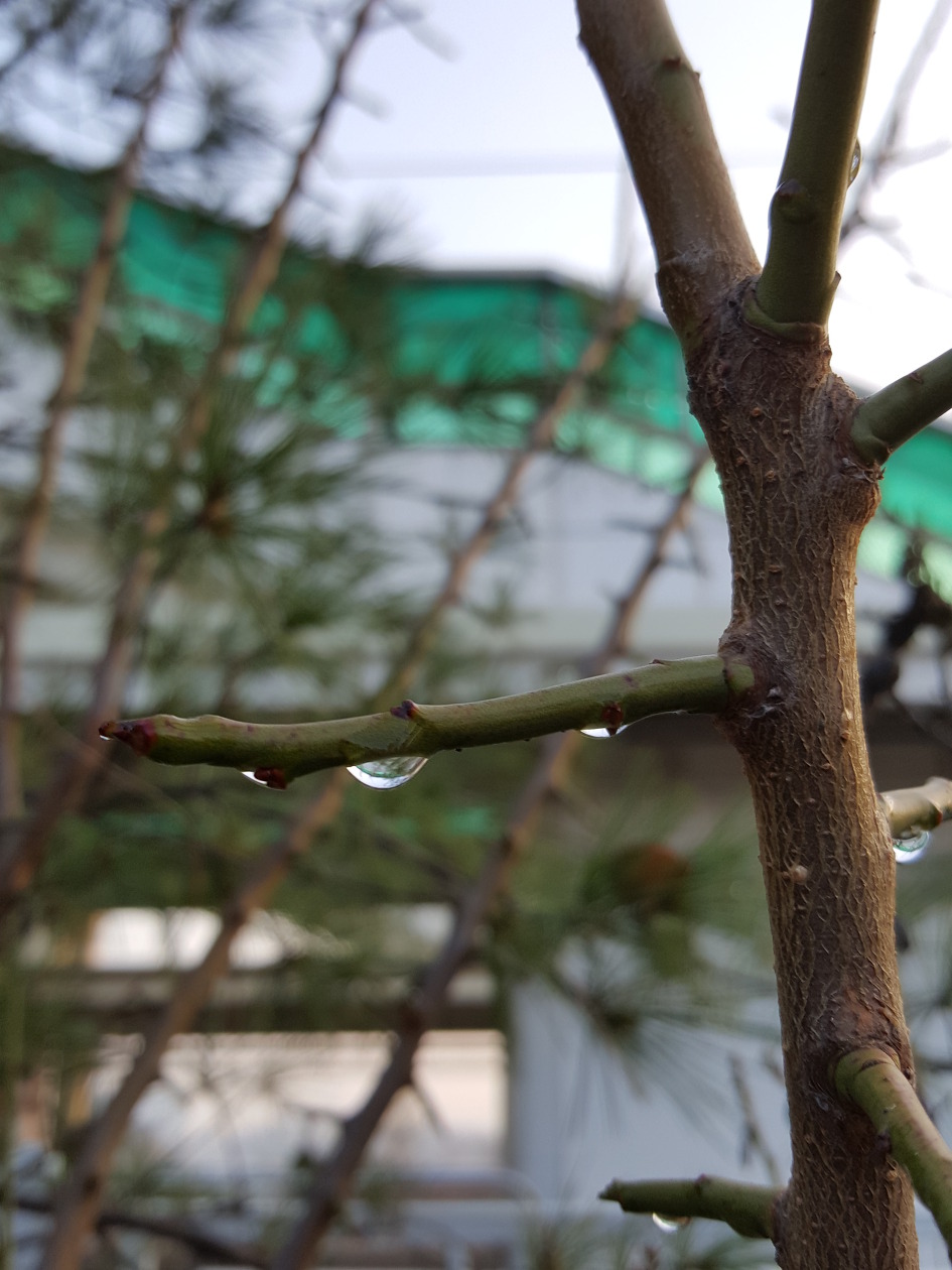 겨울비 내리는 풍경사진