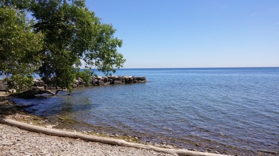 애플비 컬리지 썸머캠프!!! 캠퍼스 탐방하고 왔습니다.^^