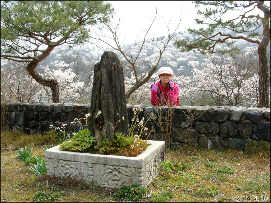 호암 미술관 희원&가실 벚꽃 길에서/2014, 4, 10