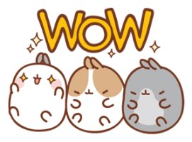 몰랑이사진 2부 