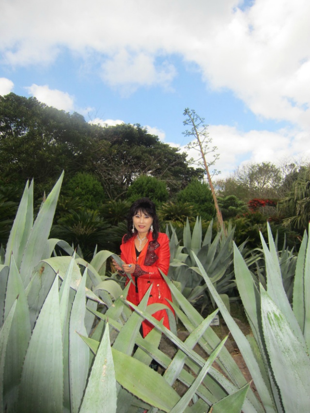 가수이영광님효사랑가요무대공연