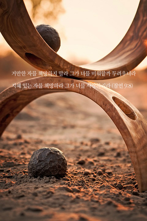 지혜있는 자를 책망하라