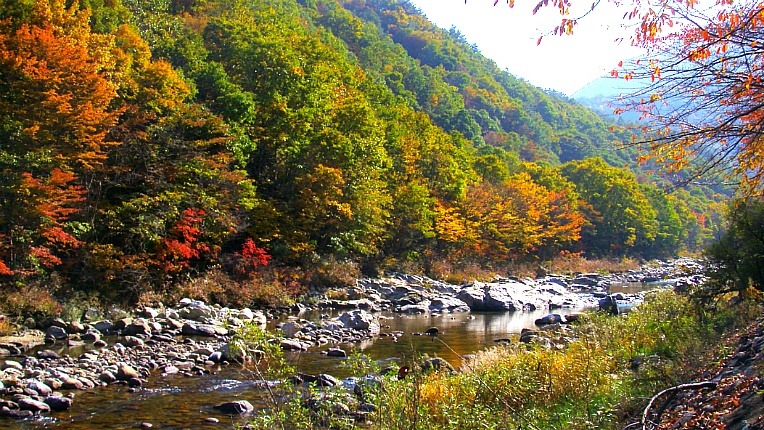 2437E543526D232D2CB11D