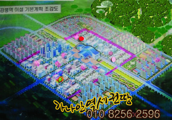 신강릉역세권 땅 