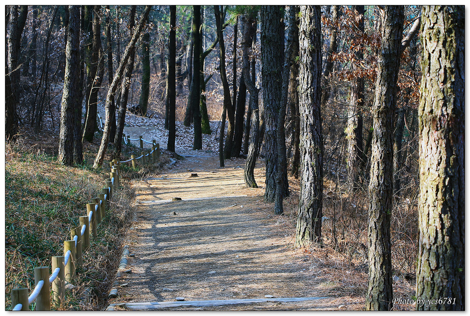 앞산 자락길 
