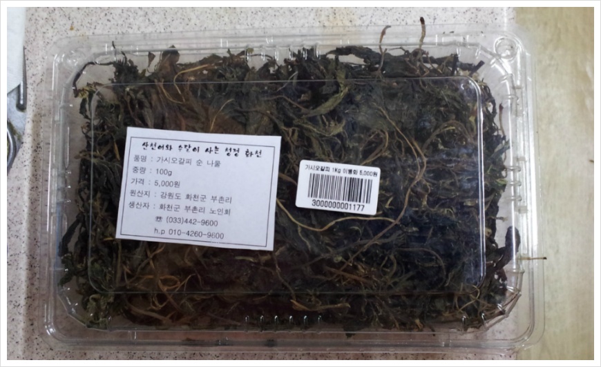 [겨울여행] 얼음나라 화천 산천어축제 - 직접 잡아서 구워 먹는 맛 최고!!!