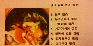 자연식품& 발효 효소 효능
