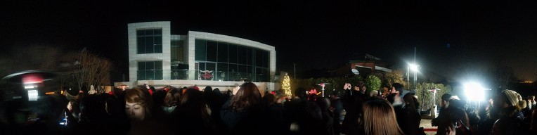 254D4B4D549B038F0E5F1C