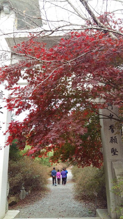강진 남미륵사