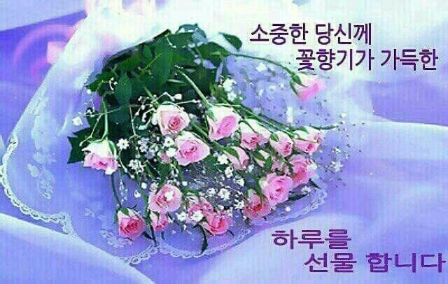 탑들 이미지