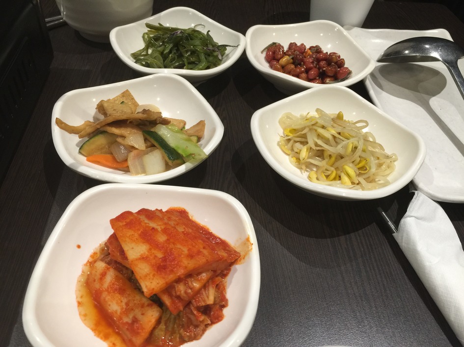 [온타리오주 여행 11 ] 캐나다 동부여행을 마치고 토론토를 떠나 시카고로 향하다 .(토론토/캐나다)