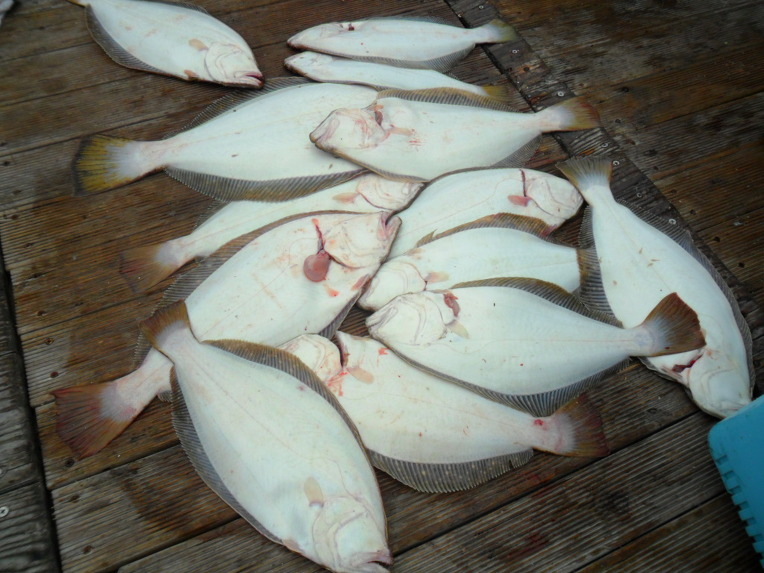 ����Ŭ���� �Ͻø� �̹����� ������ �� �ֽ��ϴ�