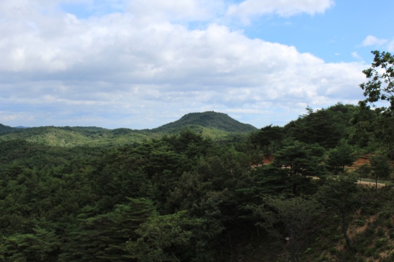 고성산 조망 이미지