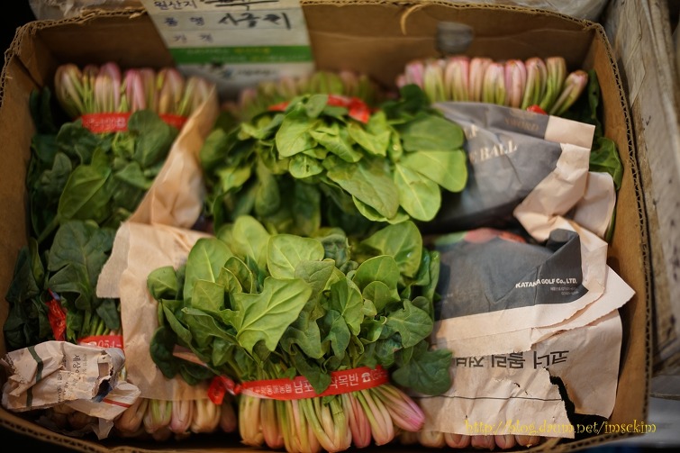 고수( 香菜 )가 있는 광장시장의 " 수원상회 "