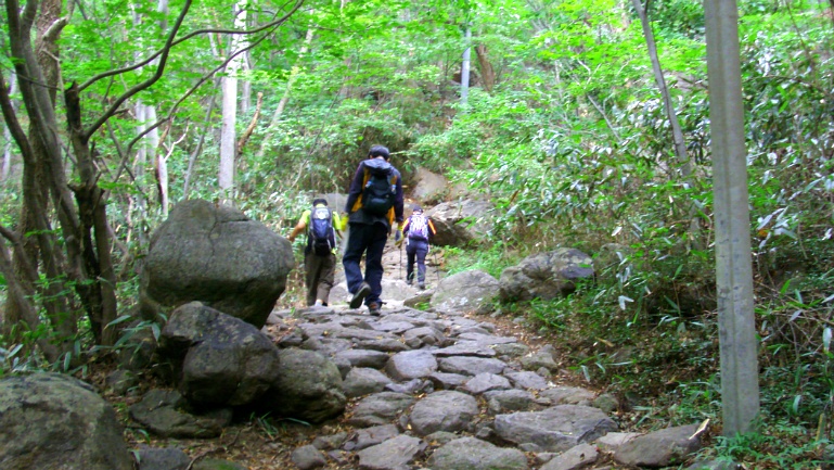 2711D64C541996AF197CCE