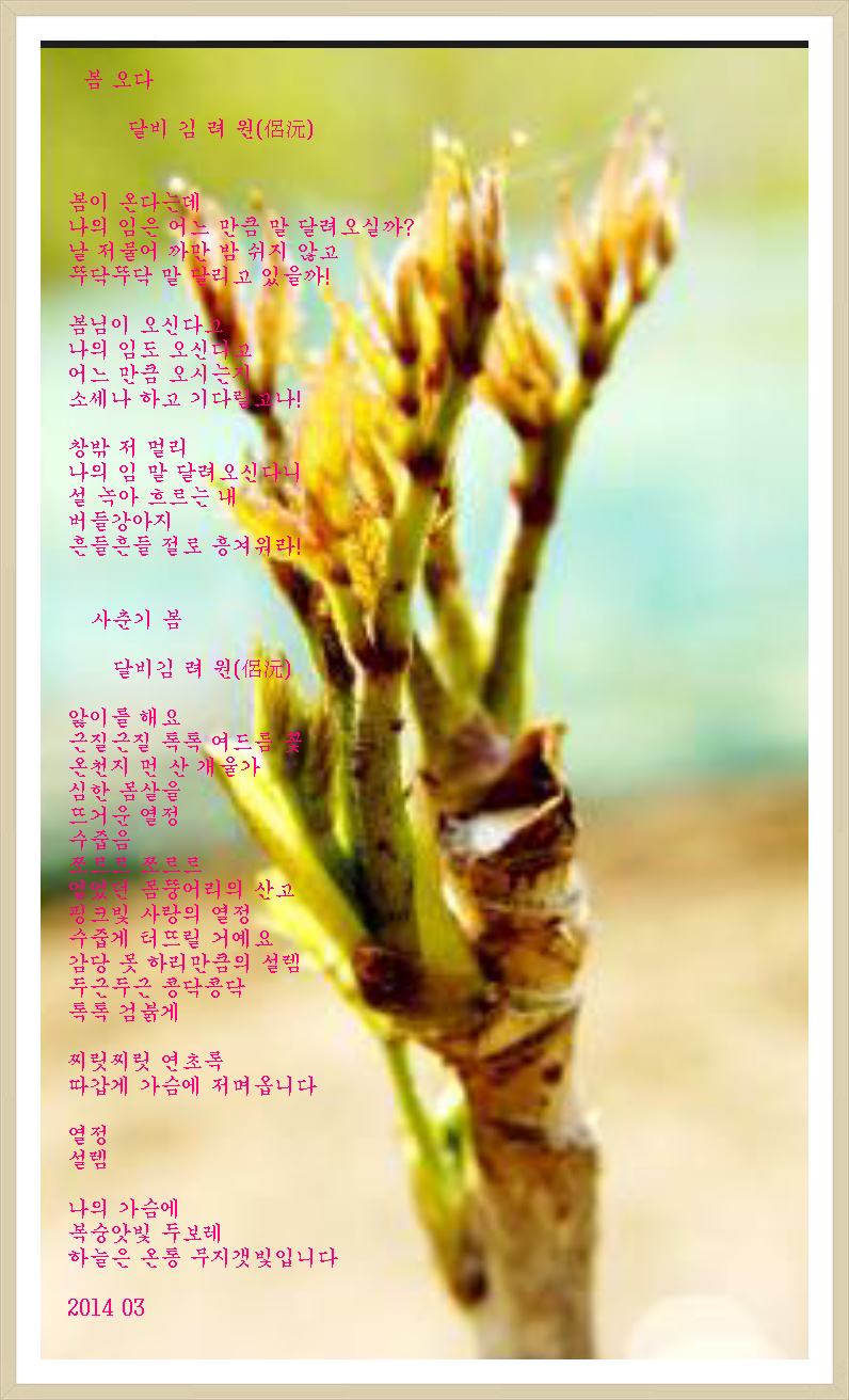 봄.오다 이미지