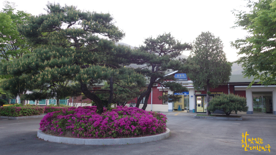 송림다방 이미지
