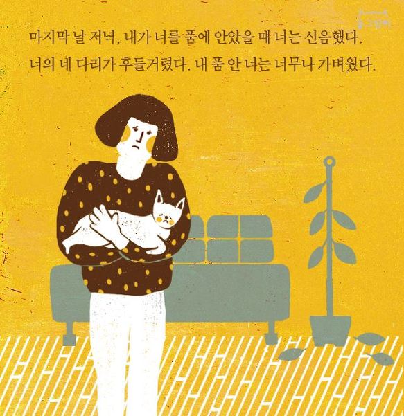 카드뉴스_깃털 떠난 고양이에게 쓰는 편지