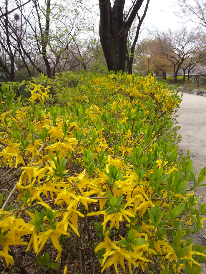 1년치 주말 걷기 여행 예약 끝~ <사계절 걷기 좋은 서울 둘레길>
