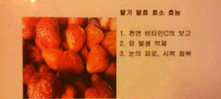 자연식품& 발효 효소 효능