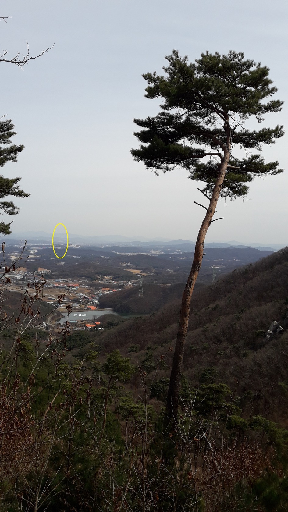 광주 태화산 미역산지나 섭산 웃골산 산길(2019년4월7일)
