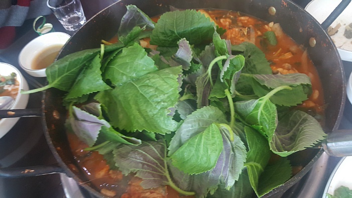 참게 메기매운탕 시켰더니~