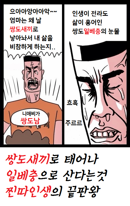 ìŒë„ëˆˆë¬¼ì— ëŒ€í•œ ì´ë¯¸ì§€ ê²€ìƒ‰ê²°ê³¼