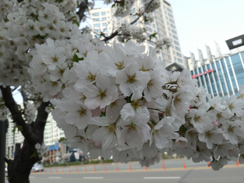 19.4.7(일)