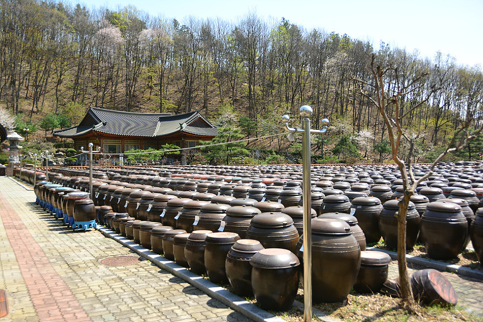 	    [ Happy Sejong > SNS & 블로그기자단 > 시민리포트 > ] 	
