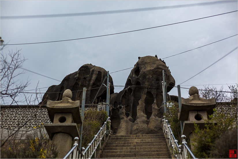 2019.04.09 인왕산 개나리길을 걷다