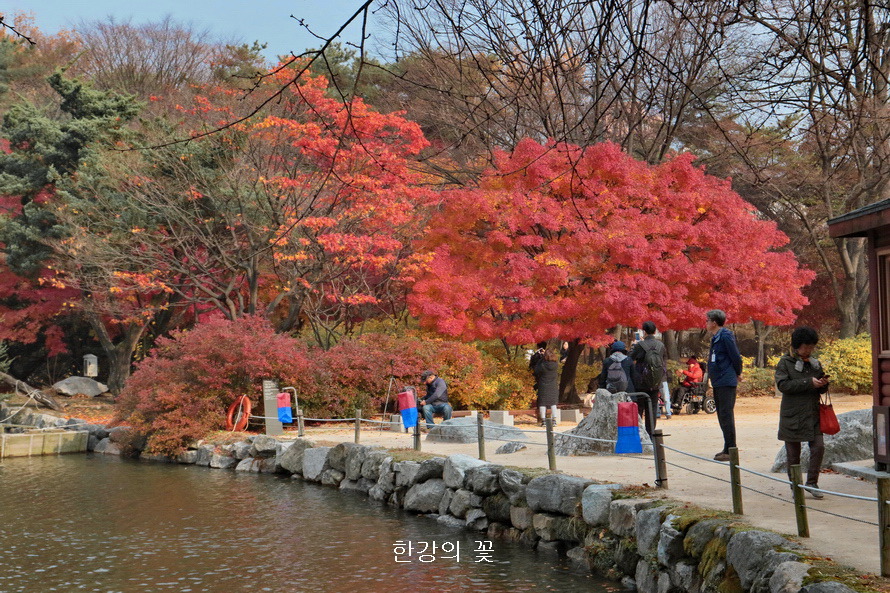 창경궁의 가을색