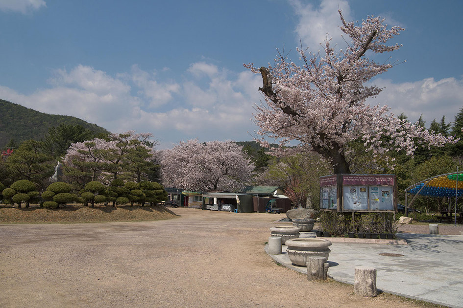 사진찍기좋은곳 홍법사